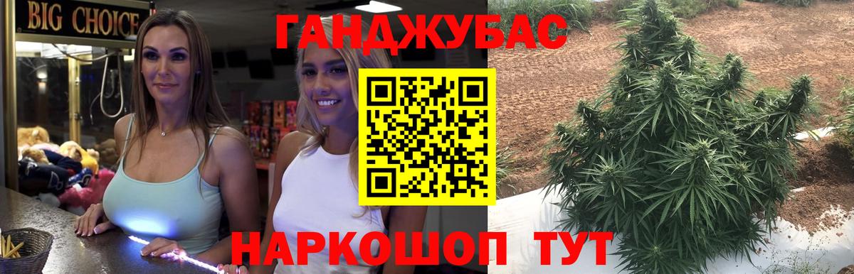 Бошки Шишки планчик Ивантеевка